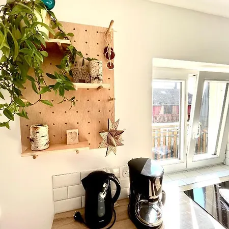 Sous Les Toits Avec Garage Et Terrasse A Ribeauville (Haut-Rhin)