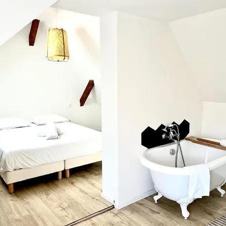 Sous Les Toits Avec Garage Et Terrasse A Ribeauville (Haut-Rhin)