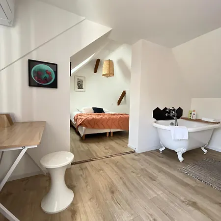 Appartamento Sous Les Toits Avec Garage Et Terrasse à *