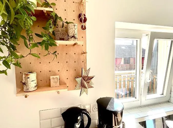 Sous Les Toits Avec Garage Et Terrasse A Ribeauvillé