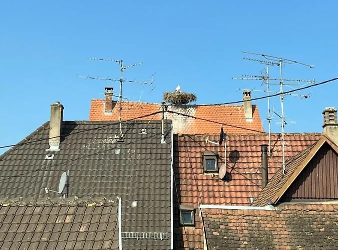 Sous Les Toits Avec Garage Et Terrasse A Lejlighed