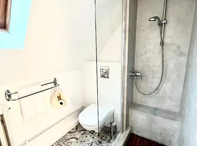 Sous Les Toits Avec Garage Et Terrasse A *