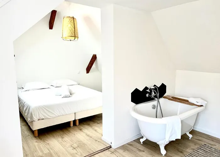 Sous Les Toits Avec Garage Et Terrasse A Ribeauvillé